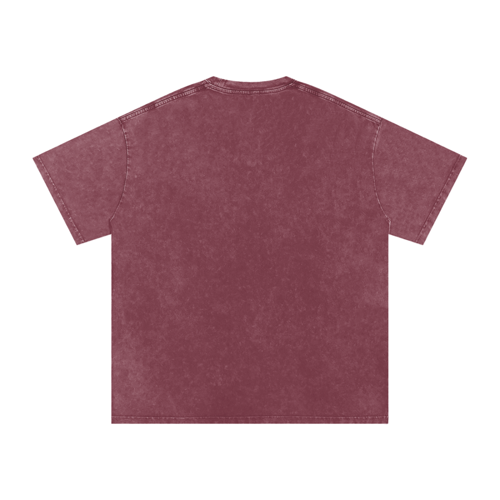 Snow Washed T-Shirt